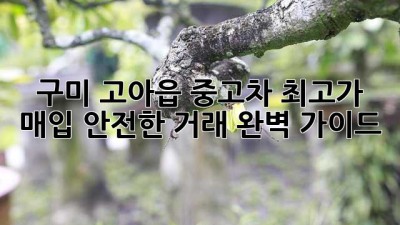 구미 고아읍 중고차 최고가 매입! 안전한 거래 완벽 가이드