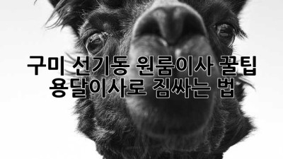 구미 선기동 원룸이사 꿀팁🍯 용달이사로 짐싸는 법!